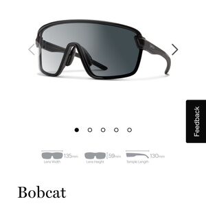 BRAND NEW SMITH BOBCAT MTB GLASSES